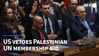 US veto sinks Palestinian UN membership bid in Security Council  AFP [upl. by Sandstrom]