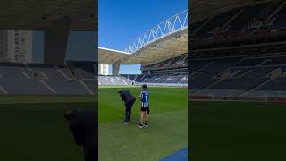 Estádio do dragao stadium tour  FC PORTO STADIUM TOUR shorts trending viralvideo porto love [upl. by Sergius]