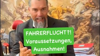 Von einer Unfallstelle zu flüchten kann sehr unangenehme Konsequenzen haben Welche nicht HIER [upl. by Woodring]