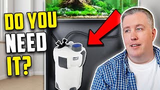 Does Your Aquarium Need A Canister Filter [upl. by Kesia]