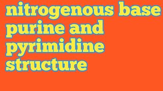 nitrogenous basepurine and pyrimidine structure  csir net life science  neet [upl. by Rundgren]