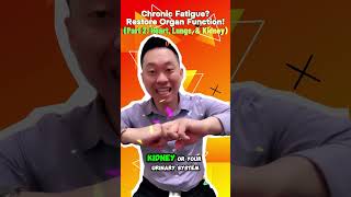 Chronic Fatigue Restore Organ Function Part 2 Heart Lungs amp Kidney [upl. by Mark]