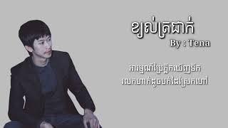 ខ្យល់ត្រជាក់• By Tena Song Video Lyrics [upl. by Eirrej]