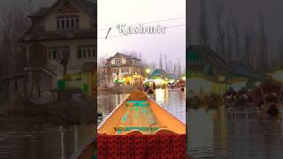 Most Beautiful Floating Market in India is in Kashmin 😍  Dal Lake youtubeshorts shorts travel [upl. by Eenel]