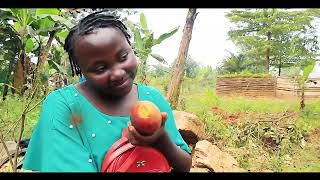 OMUTTI  GIFT MAYANJA OFFICIAL VIDEO [upl. by Rehpotsirhcnhoj]