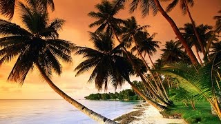 Beautiful Tropical Music amp Caribbean Music amp Hawaiian Music  Island Paradise 🌴 [upl. by Adnorehs]