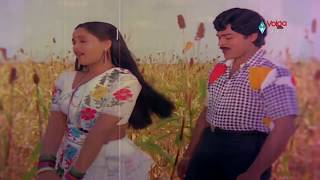 Kondaveeti Raja Movie Songs  Naa Koka Bagunda  Chiranjeevi Radha VijayaShanthi [upl. by Htinek]