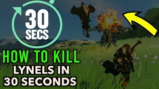 How to Beat a Lynel in 30 Seconds or Less in Zelda Breath of The Wild [upl. by Iznek]