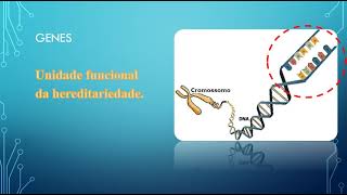 CROMOSSOMOS  GENES E HOMÓLOGOS [upl. by Lednic]