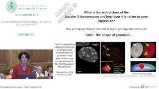 Conférence  E HEARD  La génétique de l’épigénétique  les leçons du chromosome X [upl. by Yentirb567]