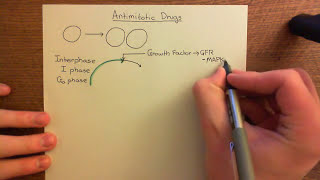 Antimitotic Drugs Part 1 [upl. by Rolyab]