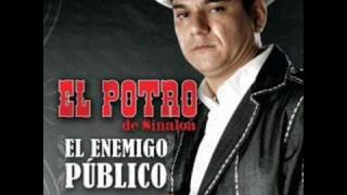 El Potro de Sinaloa  El Enemigo Publico Promo 2010 [upl. by Ahel]