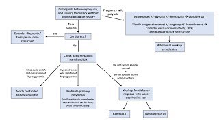 An Approach to Polyuria [upl. by Idnak]