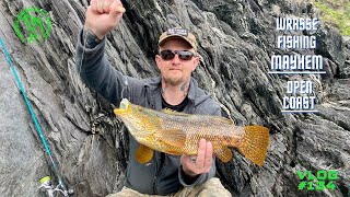 Wrasse Fishing MAYHEM  34 FishDREAM session  Lure and Bait Fishing  Vlog134 [upl. by Dunlavy]