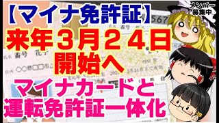 【ゆっくりニュース】マイナ免許証 来年3月24日開始へ マイナカードと運転免許証一体化 [upl. by Inaj]