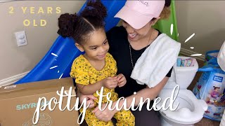 Potty training tips for 2 year old  How to potty train a toddler fast  pottytraining [upl. by Graehme809]