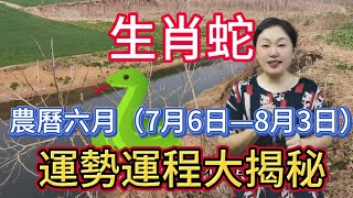 生肖蛇！農曆六月（7月6日——8月3日）運勢如何？屬蛇人值得期待！風水 運勢 生肖 2024 [upl. by Searby771]