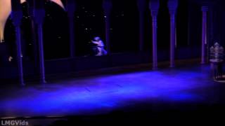 HD Disneys Aladdin Musical Spectacular 2014 California Adventure full complete show 1080p [upl. by Honan]