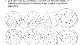 Understanding the shrinking gene pool in pedigree dogs [upl. by Llenram214]