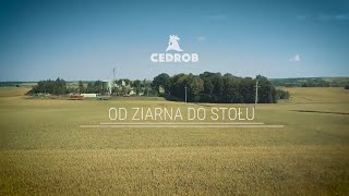 OD ZIARNA DO STOŁU [upl. by Ozne]