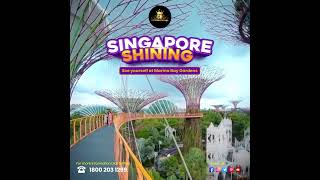 Explore the vibrant heart of Singaporewhere every moment is unforgettable singaporediaries [upl. by Murvyn]