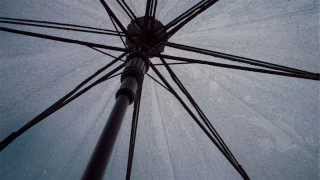 バイノーラル 傘に雨が当たる音  BinauralSound of rain hitting the umbrella ASMR音フェチ [upl. by Gilboa]