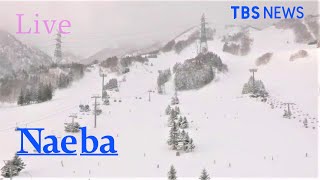 【LIVE】苗場スキー場 ライブカメラ  Naeba Niigata JAPAN2021年1月4日 [upl. by Airtemed]