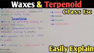 Waxes And Terpenoid Structure Functions  Class 11 UrduHindi [upl. by Olegnaed]