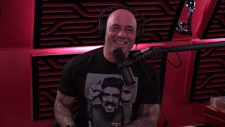 Joe Rogan Experience 1603  Brendan Schaub [upl. by Yks612]