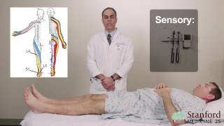 Approach to Low Back Pain Physical Exam  Stanford Medicine 25 [upl. by Quintana869]