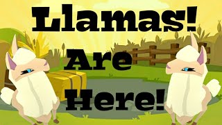 Llamas Are Here  Animal Jam Play Wild Update [upl. by Yenatirb602]