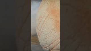 The discovery of the moon Europa documentary space astronomy [upl. by Louth478]