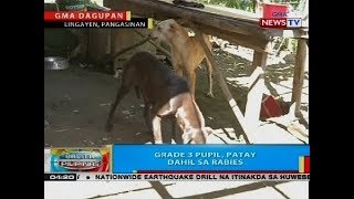 BP Grade 3 pupil patay dahil sa rabies [upl. by Sherrill]