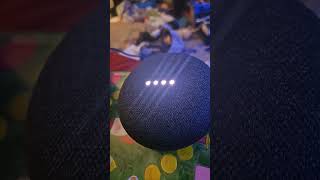 Google home mini alarm sound [upl. by Ronoc642]