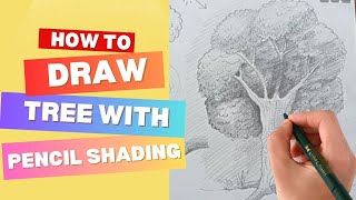 How To Draw Tree  Easy Tree Drawing for Beginners  Tree Drawing amp sketch by pencil with easy ways [upl. by Assirual]