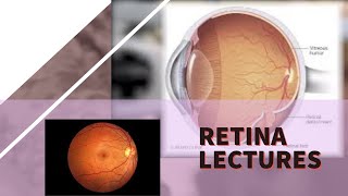 RETINA lecture 19 RETINOPATHY OF PREMATURITY stages and management in detail [upl. by Lorrayne]