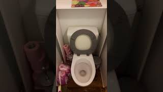 Problème découlement des eaux usées dans les toilettes [upl. by Airdnekal]