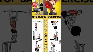 Back Workout  5 Exercise’s For A Bigger BACK 🔥🤝shorts shorts back backworkout [upl. by Aron116]