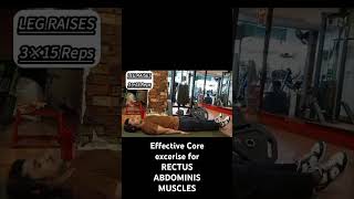 2 Exercise for RECTUS ABDOMINIS fitness viralvideo youtubeshorts [upl. by Atiugal914]