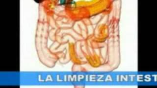 LIMPIEZA INTESTINAL [upl. by Obocaj]