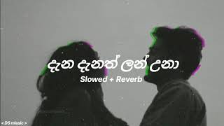 දැන දැනත් ලන් උනා  Dana Danath Lan Una  Slowed  Reverb [upl. by Eceinart]