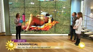 quotSå varm blir sommaren 2015quot  Nyhetsmorgon TV4 [upl. by Alilahk]