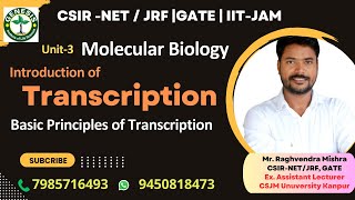 Introduction and Basic Principles of Transcription  Molecular Biology genesisinstitute [upl. by Odlopoel]