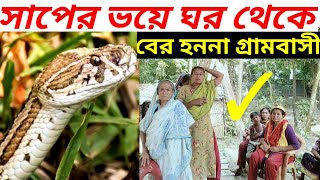 রাসেল ভাইপারের ভয়ে আতংকিত গ্রামবাসী  সাপ  রাসেলস ভাইপার  Russells viper  Russell viper [upl. by Tita875]