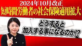 【2024年10月改正】プロの専門家が徹底解説！社会保険どうなると加入することになるのか？！ [upl. by Asille115]