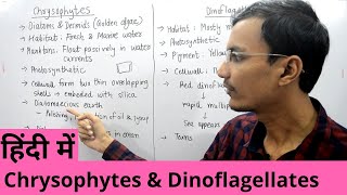 Kingdom Protista  Chrysophytes and Dinoflagellates in Hindi [upl. by Nahtaoj54]