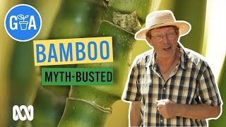 Everything Bamboo  Discovery  Gardening Australia [upl. by Halford551]