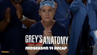 Greys Anatomy MidSeason 14 Recap [upl. by Elwaine]