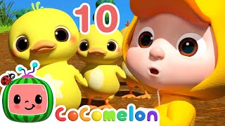 Count to 10 Little Duckies  CoComelon Animal Time  Animals for Kids [upl. by Eugenle]