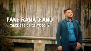 Fane Banateanu  Tinerete de ce treci Official Video [upl. by Dnomar138]